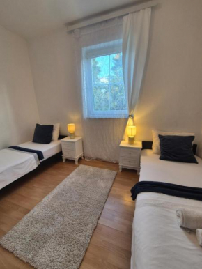 Apartman David with rich welcome package